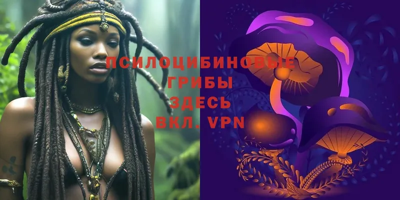 Псилоцибиновые грибы Psilocybe  kraken tor  Луга 