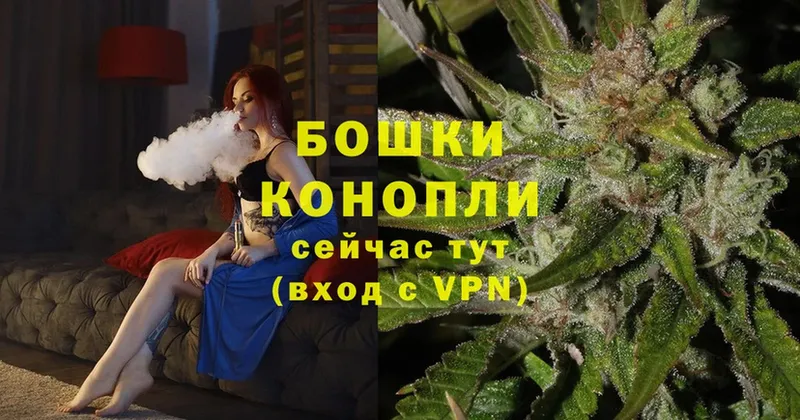 Бошки Шишки LSD WEED  Луга 